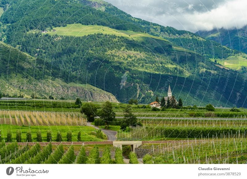 Sommerlandschaft entlang des Radweges des Vinschgaus Etsch Bozen Europa Italien Meran trentino südtirol Venosta Apfel Gebäude Kirche Farbe Tag Landschaft