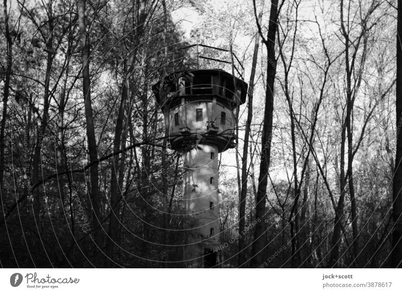 Verlorener Wachturm mitten im Wald Verfall Architektur lost places Herbst Baum Natur Vergangenheit Ruine historisch verfallen versteckt verdeckt DDR geheim