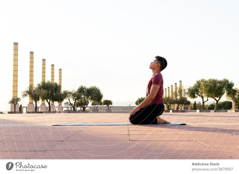 Serene Mann sitzt in Thunderbolt Pose und tun Yoga Donnernde Pose meditieren Yogi ruhig Zen Sprit Stressabbau Asana männlich ethnisch asiatisch Vajrasana Park