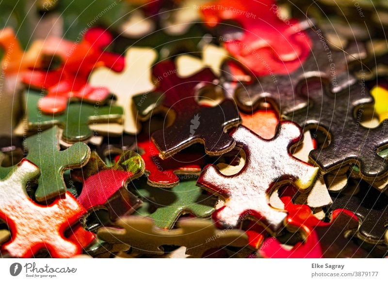 Das Leben ist bunt.... Puzzle Farbfoto Spielen Innenaufnahme Nahaufnahme mehrfarbig Kinderspiel Freizeit & Hobby Schwache Tiefenschärfe