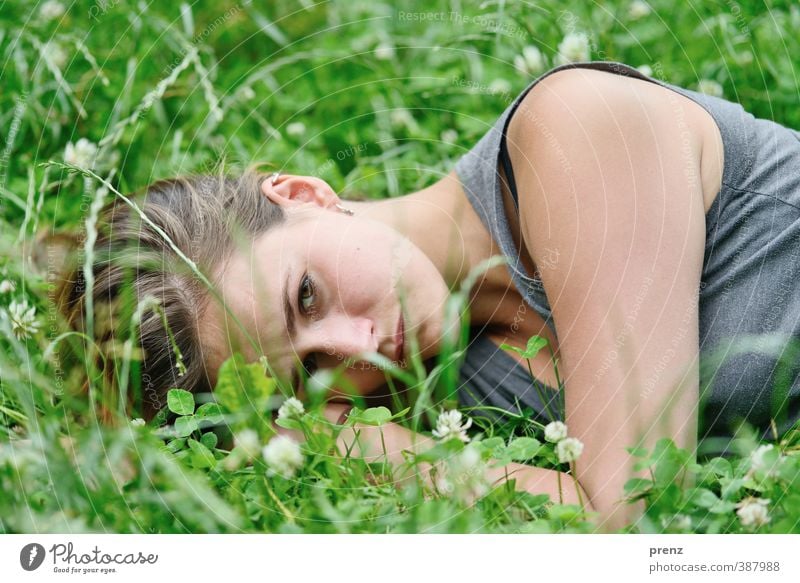 Entspannung Mensch feminin Junge Frau Jugendliche Erwachsene Kopf 1 18-30 Jahre Umwelt Natur Gras grau grün liegen Erholung Klee Wiese Sommer Farbfoto