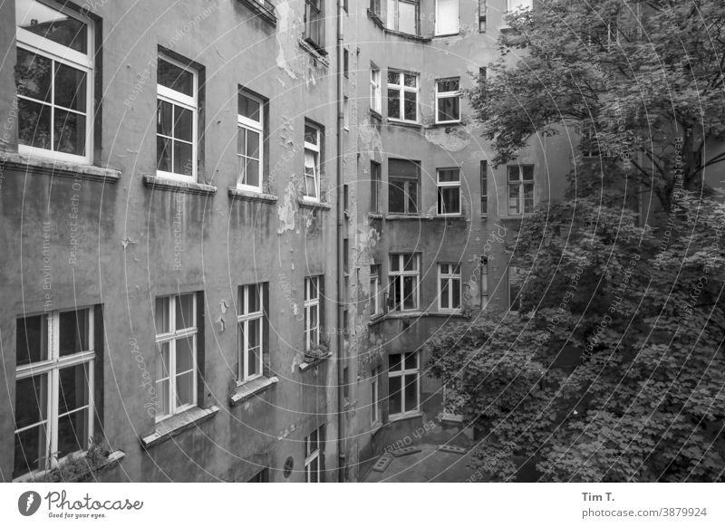 Hinterhof Prenzlauer Berg . Berlin Hof Schwarzweißfoto Menschenleer Stadt Stadtzentrum Haus Tag Hauptstadt Altstadt Außenaufnahme Fenster Altbau Gebäude Bauwerk