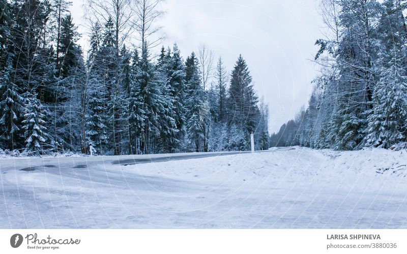 Verschneite Strasse im Winterwald. Wunderschöne frostig weisse Landschaft. verschneite Straße Saison Wald Eis Szene Weihnachten Baum Tag PKW frieren im Freien