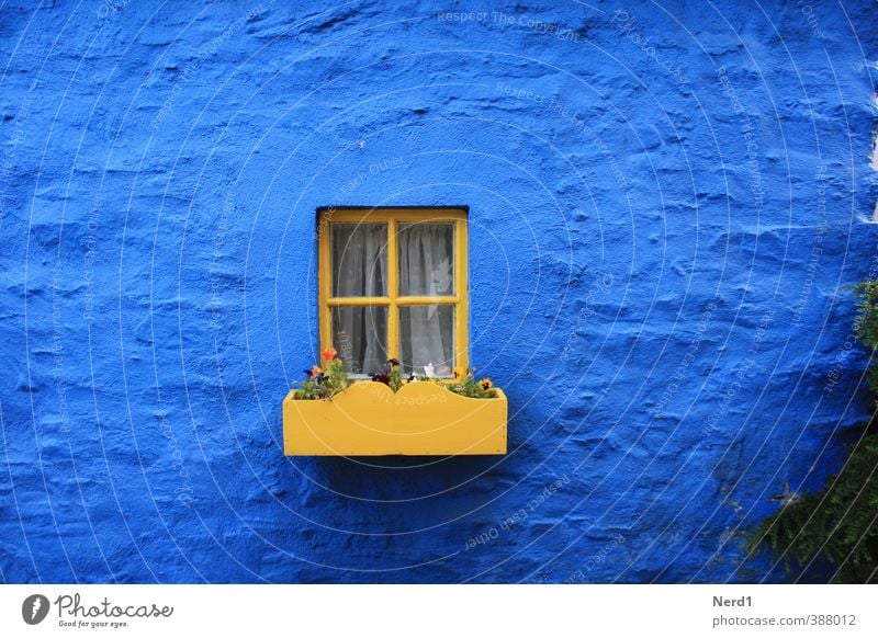 Fensterchen Dorf Haus Mauer Wand Fassade Stein Glas historisch blau gelb Blumentopf Farbfoto Außenaufnahme Menschenleer Freisteller Tag Zentralperspektive