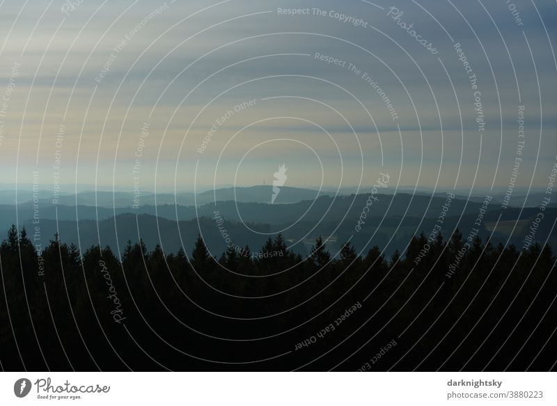 Abendliche Stimmung im gebirgigen Bergischen Land mit einem Wald aus Nadelbäumen und Laubbäumen bei Sonnen Untergang Regen Wetter Wildnis Urwald Wander Wandern