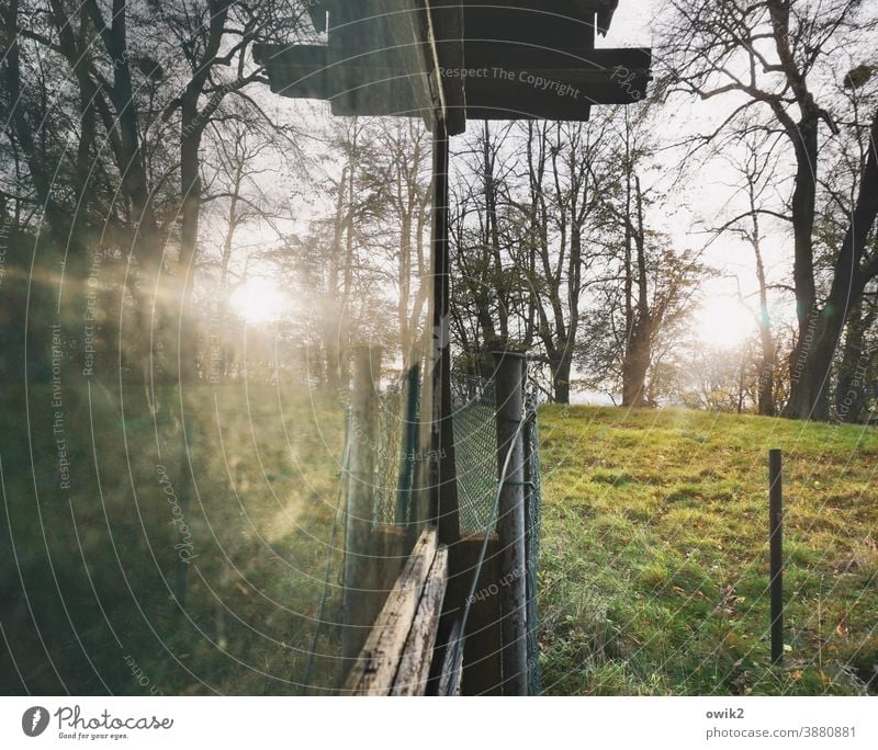 Wird spät Häuschen Fenster Garten Schuppen Glas Spiegelung Bäume Wiese Gras Sonne Sonnenlicht Abend Zaunpfahl Natur Farbfoto Reflexion & Spiegelung