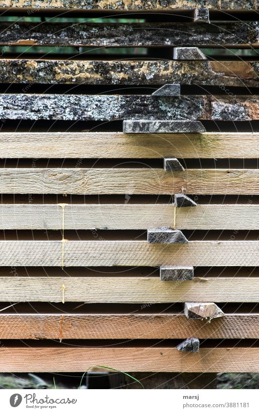 Bretterstapel ordentlich zum Trocknen geschlichtet. Mit Harztropfen. Natur Sägerauh Holz trocknen parallel Fichtenholz Lärchenholz Ordnung übereinander