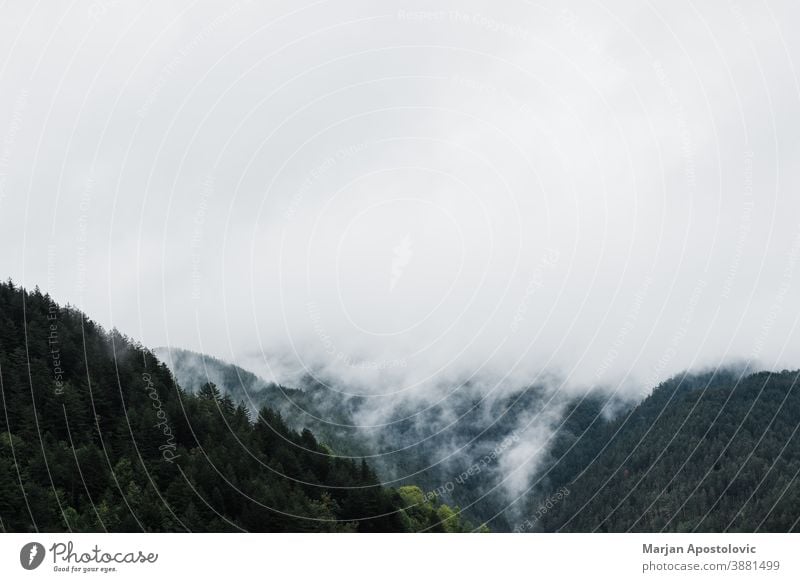 Nebel in den Bergen am frühen Morgen Abenteuer Atmosphäre Herbst Hintergrund schön Cloud wolkig kalt cool dunkel Morgendämmerung dramatisch Umwelt Immergrün