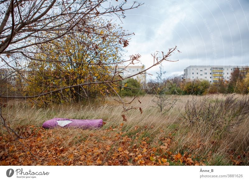 Durchgelegene Matratze in abgelegenem Wohngebiet trist tristesse Randgebiet menschenleer gebäude wohnblock wohnblocks hundewiese baum sträucher herbst gras