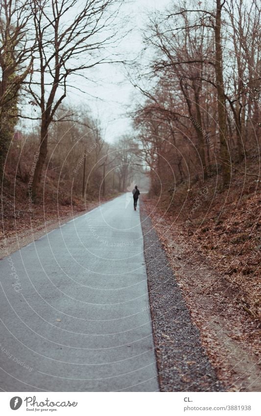 läufer laufen Joggen Jogger Läufer sport Sport Winter Wege & Pfade trist Ziel allein Einsamkeit Flucht Freizeitsport Wald Bäume Natur rennen Außenaufnahme