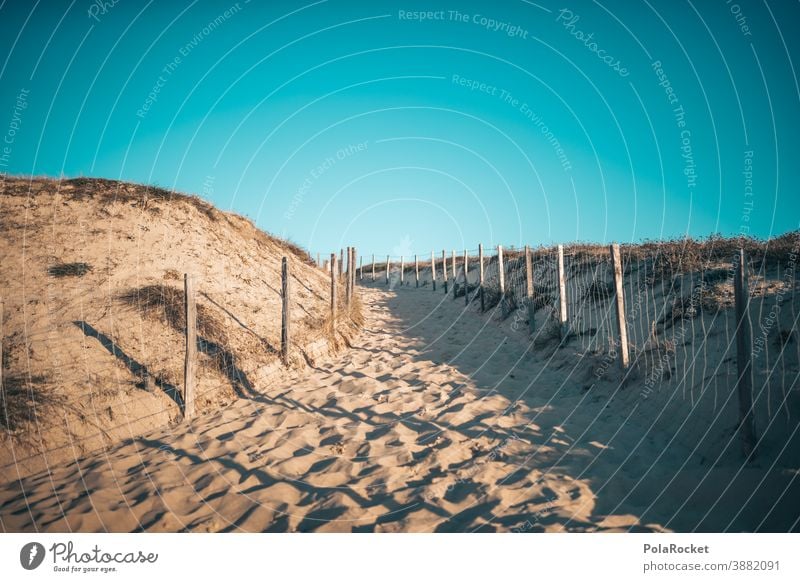 #A0# Strandtag Düne Strandaufgang Dünenaufgang Frankreich Küste Sand Meer Ferien & Urlaub & Reisen Landschaft Außenaufnahme Tourismus