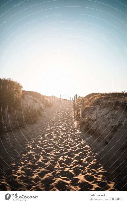 #A0# Dünenaufgang Tourismus Außenaufnahme Landschaft Ferien & Urlaub & Reisen Meer Sand Küste Frankreich Strandaufgang Aufgang Sonnenuntergang