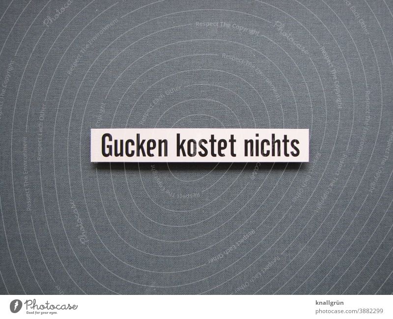 Gucken kostet nichts gucken Interesse Neugier Blick sehen ansehen Erwartung entdecken Wachsamkeit beobachten umsonst kostenlos Buchstaben Satz Wort Letter