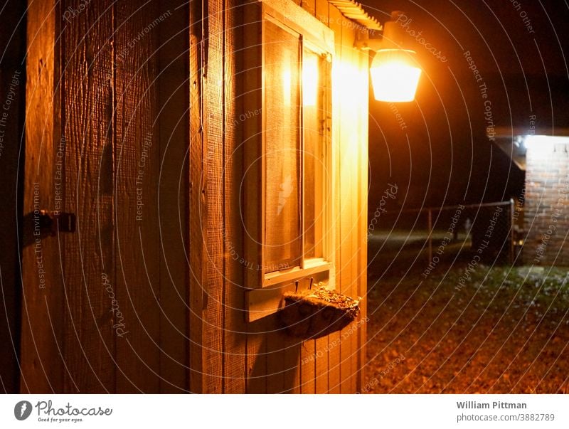 Schuppen im Hinterhof Baracke Lagerschuppen Holz Menschenleer Außenaufnahme Farbfoto Haus Holzbrett Holzwand Melancholie Depression schäbig verwohnt Holztür