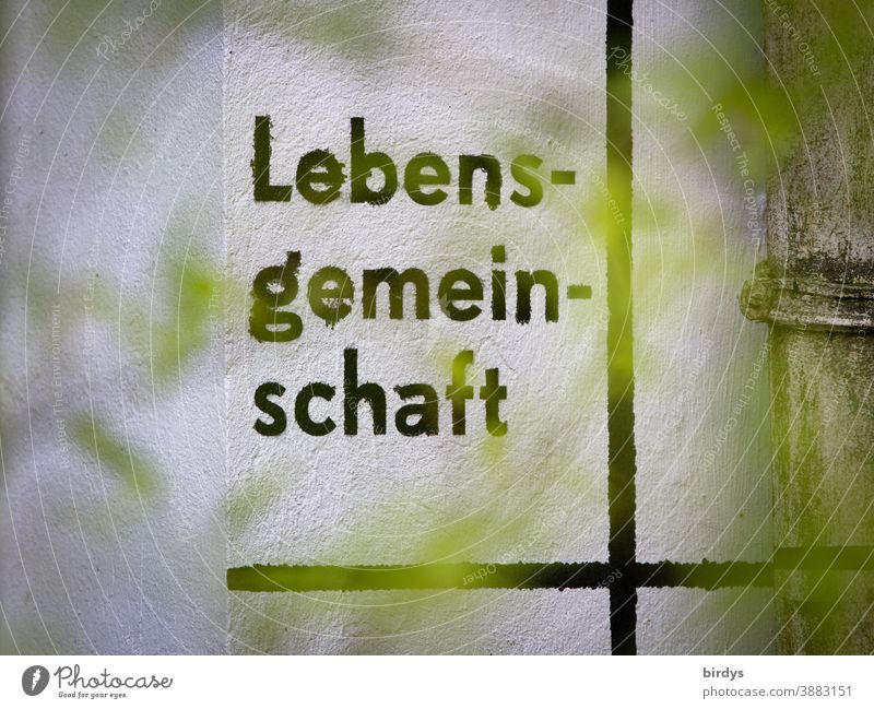 Lebensgemeinschaft, Schrift auf einer Hauswand gemeinschaftlich Wohngemeinschaft zusammen Schriftzeichen Linien Projekt gemeinsam Lebensentwurf Zusammenleben