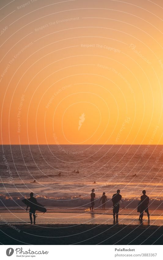 #A0# Lichtmoment am Ende des Tages Sonnenschein Sonnenbad Sonnenstrahlen Sonnenuntergang Sonnenlicht Strand Stranddüne Strandspaziergang Strandleben Menschen