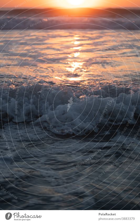 #A0# Ozeanwellen abends am Meer Wellen Wellengang Wellenform Wellenschlag romantisch Küste Außenaufnahme Wasser Meerwasser Menschenleer