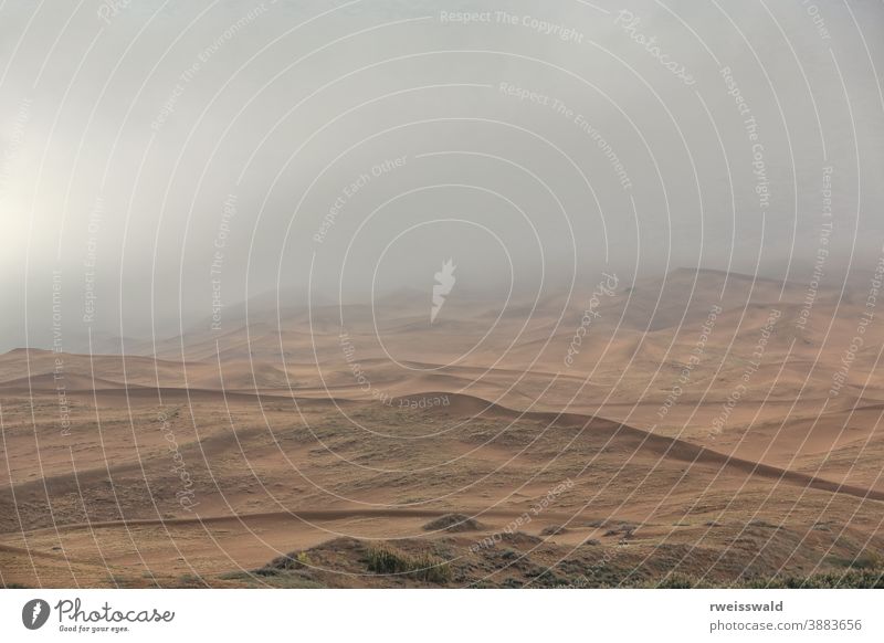 Frühmorgens mäßiges Licht über der Wüste Badain Jaran. Innere Mongolei-China-1136 Morgenlicht Sonnenaufgangsdunst diffuse Dämmerung Morgennebel bewölkter Himmel