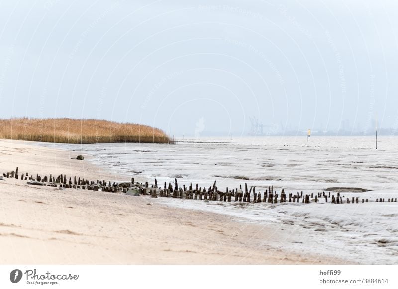 Ebbe am Weserstrand, die Buhnen sind schon ziemlich runtergekommen Buhnenreste ebbe und flut Winter Nebel Nebelschleier Sand Wasser Strand Meer Flut Küste