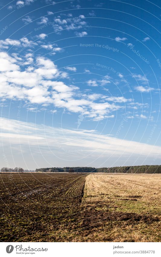 zwei-felder-wirtschaft. Feld Wiese Acker Natur Landschaft Umwelt Menschenleer grün Ackerbau Landwirtschaft Wolken Wachstum Farbfoto blau Himmel Schönes Wetter