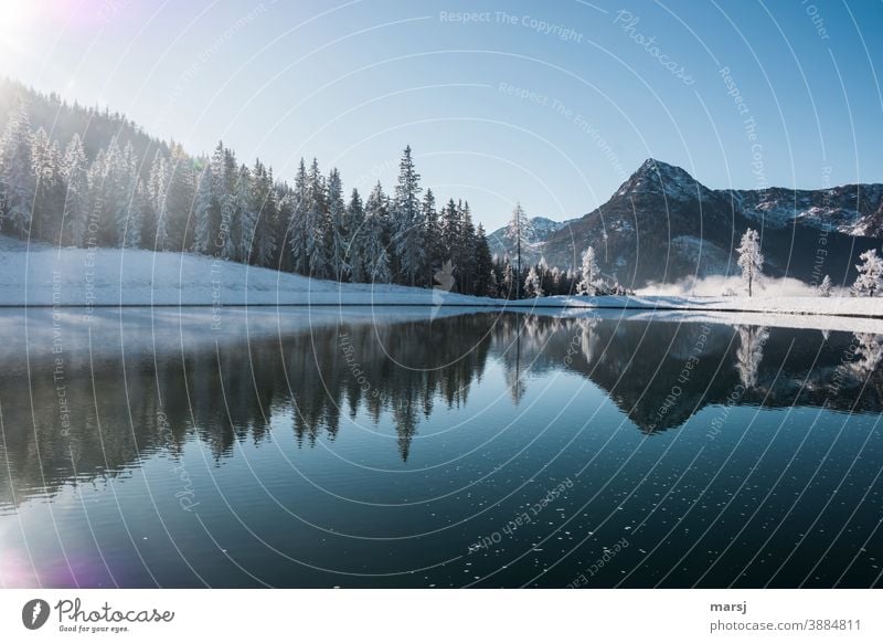 Still ruht der See und spiegelt die Bäume und Berge Spiegelung Spiegelung im Wasser blau Reflexion & Spiegelung Landschaft Wolkenlos Wald Kälte klirrende Kälte