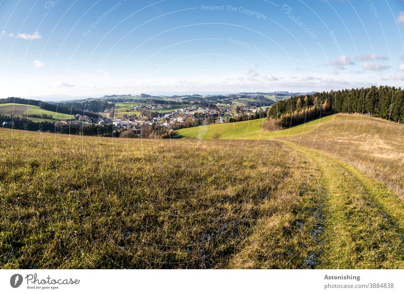 Blick auf Bad Zell Mühlviertel Aussicht Weite Ferne Landschaft Weg Pfad Ort Ländlich Wald Feld Landwirtschaft Tal Himmel Horizont Wolken Wiese Grün blau Häuser