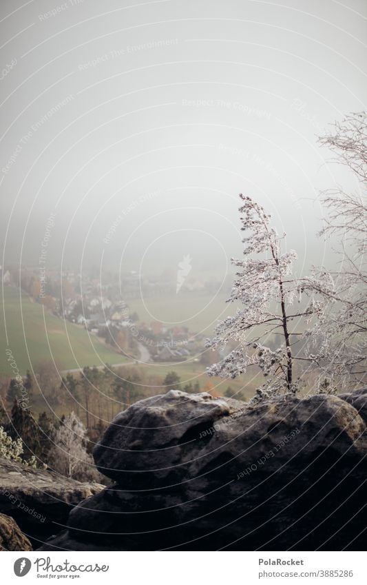 #A0# Wandern in der Sächsischen Schweiz zum Wintereinbruch frieren Landschaft Dezember Wetter Umwelt Klima Schnee Frost kalt Natur Kälte winterlich Winterlicht