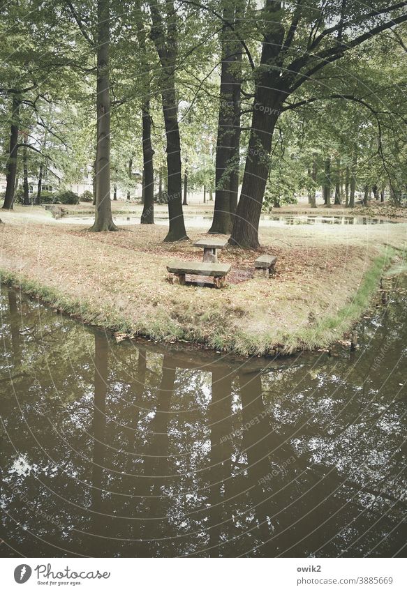 Versteinerte Möbel Park Bäume Wasser Pflanzen Außenaufnahme Farbfoto Menschenleer Wald grün Idylle Baum Natur Reflexion & Spiegelung Landschaft See Tag Himmel