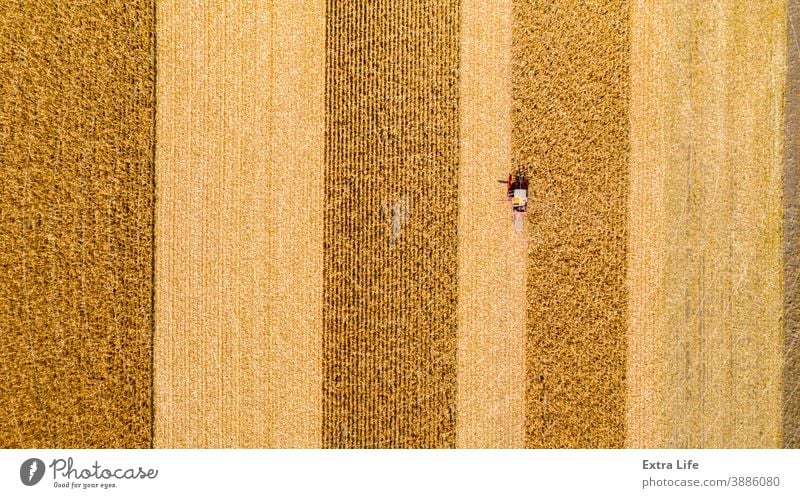 Ansicht von oben auf Mähdrescher, Erntemaschine, erntereifen Mais landwirtschaftlich Ackerbau Agronomie Müsli Kornfeld Land kultiviert Bodenbearbeitung