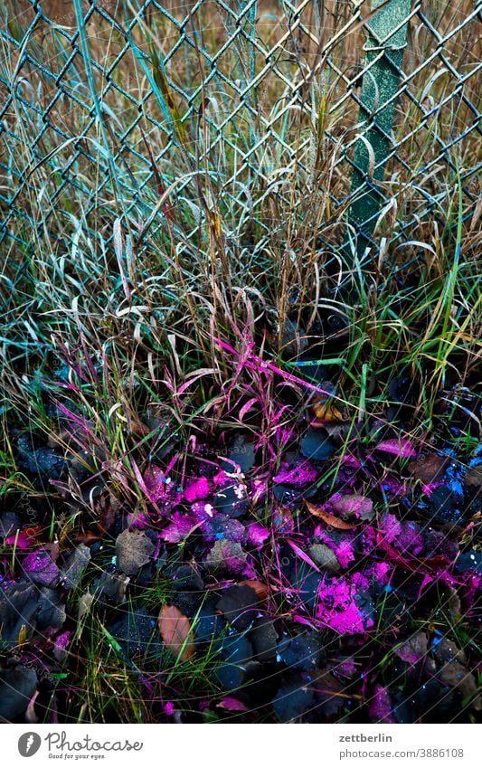 Besprühte Natur bunt farbe farbig ferien garten gesprayt gras grenze herbst kleingarten kleingartenkolonie maschendraht maschendrahtzaun menschenleer nachbar