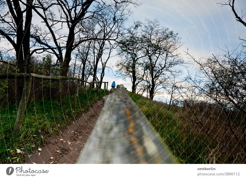 Wanderweg mit Geländer ast baum erholung ferien garten gras herbst himmel kleingarten kleingartenkolonie menschenleer natur november pflanze rasen ruhe