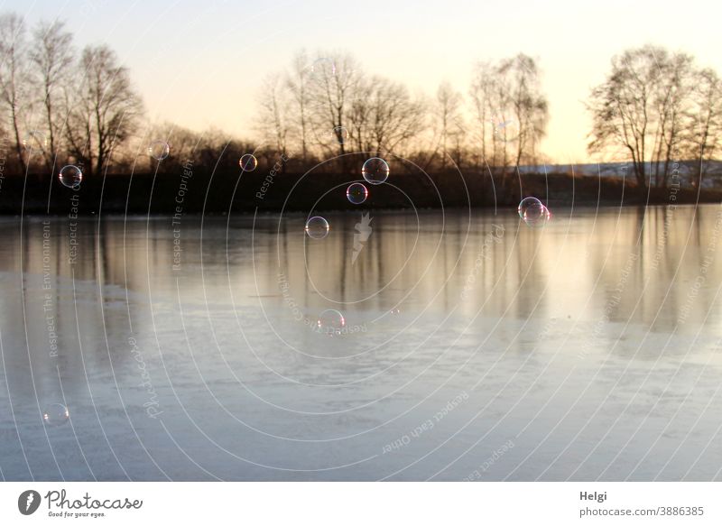 Seifenblasen über dem gefrorenen See in der Morgensonne Winter Frost Eis Licht Schatten Gegenlicht Landschaft Natur Umwelt morgens fliegen Leichtigkeit kalt