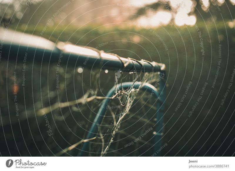 Nebeliger Herbstmorgen im Dunst | Fußballtor im Garten ist mit Wassertropfen behangen | morgendliche Sonnenstrahlen erreichen den Garten Licht Morgendämmerung