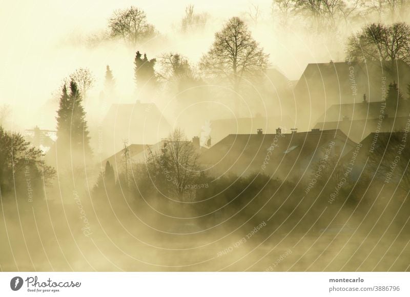 Nebel liegt über einem Dorf bei Sonnenaufgang Licht Morgendämmerung Außenaufnahme natürlich authentisch Schönes Wetter Sonnenlicht Herbst unheimlich neblig