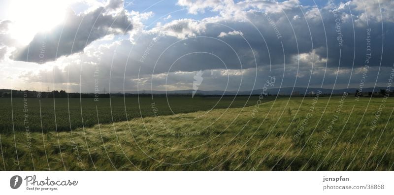 Der Regen ist vorbei Wolken Feld Panorama (Aussicht) Wetter Wind Getreide Graffiti Gonsenheim Bretzenheim Mombach Mainz05 groß Panorama (Bildformat)