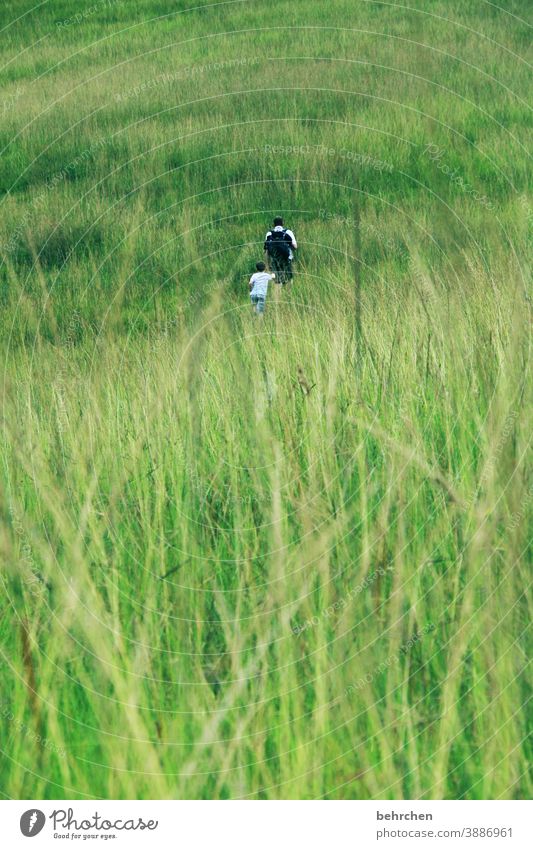 viel gras und zwei jungs Ferien & Urlaub & Reisen Tourismus Ausflug Abenteuer Ferne Freiheit Natur Umwelt Landschaft Hügel Berge u. Gebirge wandern