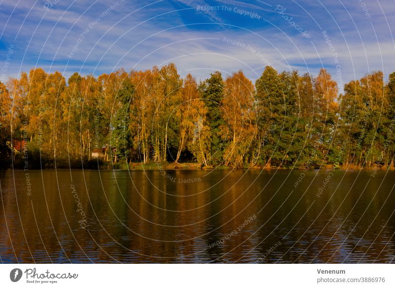 Kleiner See im Herbst in Deutschland kleiner See Seen Wasser Himmel Cloud Wolken Ufer Meeresküste Röhricht Reflexion & Spiegelung Wasserspiegelung Bäume Natur