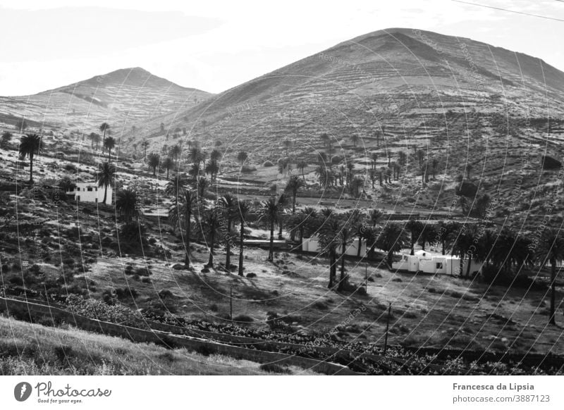 Oase auf Lanzarote II Hintergrund Hügel Himmel Natur Berge u. Gebirge Abenteuer Fernweh Licht leuchten vulkanisch Ausflug Tourismus tropisch Ende der Welt