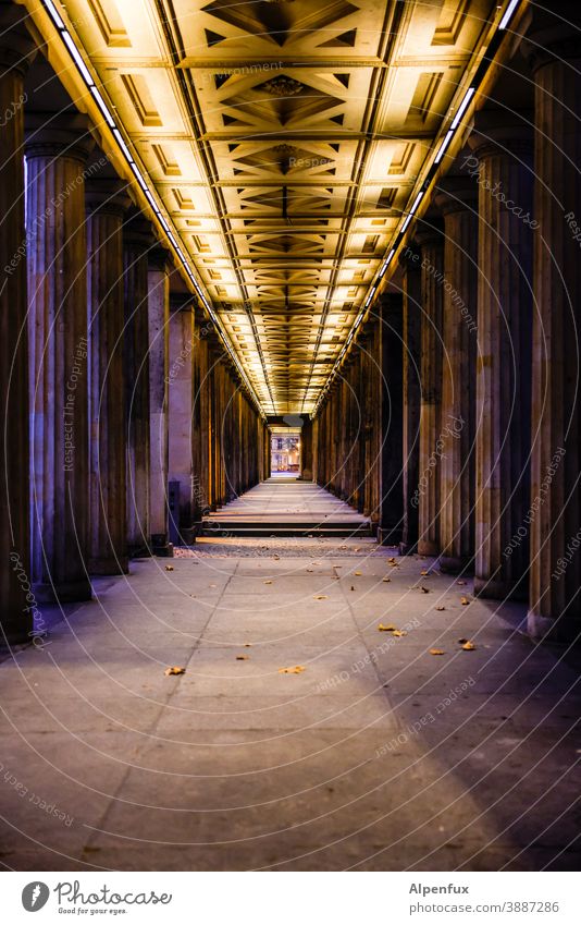 700 Säulen Säulengang Architektur Bauwerk Außenaufnahme alt Sehenswürdigkeit Farbfoto Altstadt historisch Gebäude Menschenleer Denkmal Fassade Städtereise