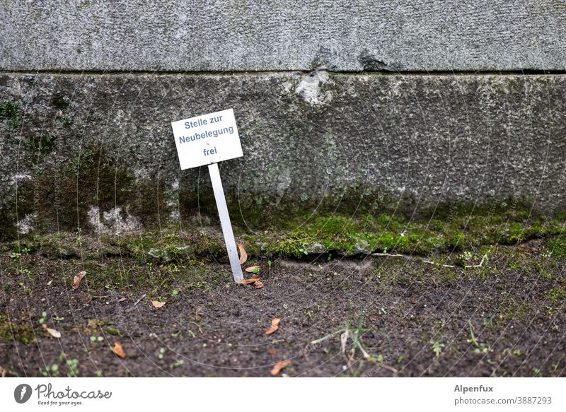 freie Stelle...... Grab Friedhof Freie Plätze Trauer Tod Außenaufnahme Frieden Menschenleer Beerdigung ruhig Farbfoto Vergänglichkeit Schmerz Glaube job