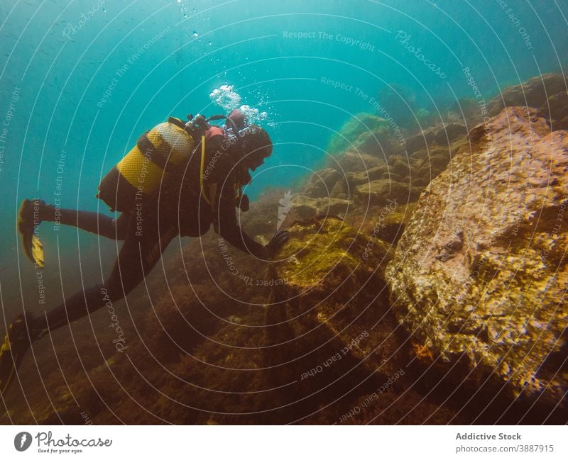 Taucher schwimmt in der Tiefsee zwischen der Wasservegetation unter Wasser Fisch Natur MEER farbenfroh Hintergrund Meer blau Umwelt tropisch Abenteuer