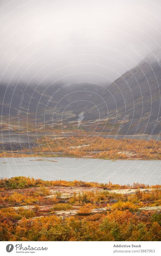 Scenic Blick auf See in den Bergen auf nebligen Tag Herbst Wald Berge u. Gebirge Nebel Landschaft gelb Baum Windstille atemberaubend ruhig majestätisch