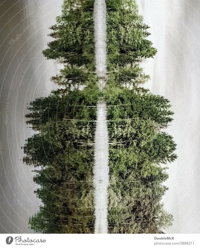 Spieglein, Spieglein - Bäume, die sich im Wasser spiegeln, experimentell See Spiegelung Spiegelbild Spiegelung im Wasser Reflexion & Spiegelung Natur