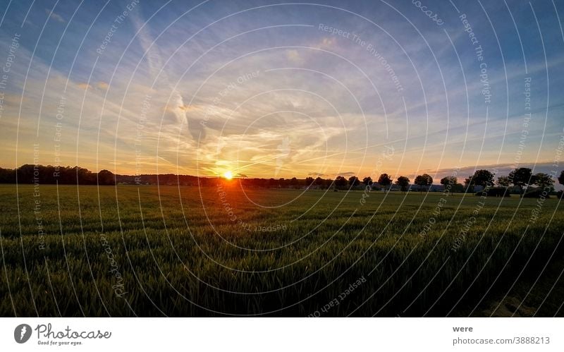 Sonnenuntergang über landwirtschaftlichen Feldern bei Bergheim Bereich Flug Feldweg Blick von oben Luftaufnahme landwirtschaftliche Flächen Vogelschau