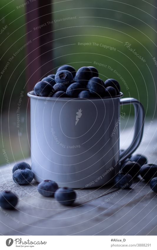 Heidelbeeren in Zinnbecher im  Fensterlicht Antioxidans Hintergrund Beeren blau Blaubeeren Holzplatte Schalen & Schüsseln Nahaufnahme copyspace Tasse dunkel