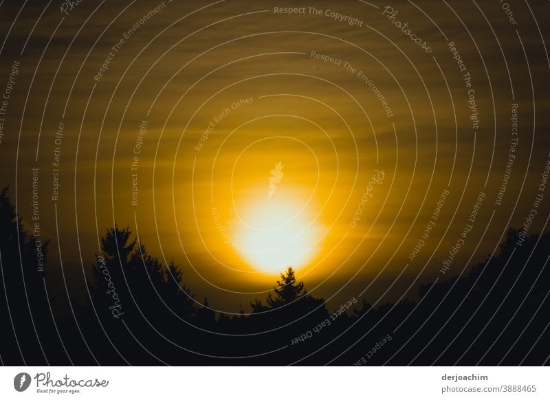 Ein Neuer Tag beginnt  . Sonnenaufgang von seiner schönsten Seite. Direkt über den Baumwipfeln. Sonnenaufgang - Morgendämmerung Nebel Außenaufnahme Landschaft