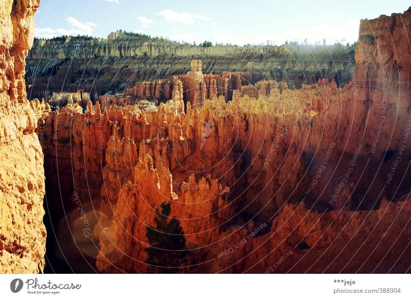 der bryce ist heiß. Landschaft Urelemente Schlucht Bryce Canyon Bryce Canyon National Park Bryce Amphitheater Ferien & Urlaub & Reisen Amerika USA Utah