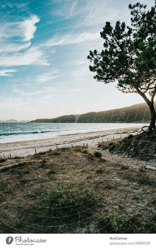 Blick vom Wald auf den Strand malerisch Natur Baum Meer Windstille Urlaub Feiertag Himmel idylli Wasser Landschaft sonnig Lagune Bucht tropisch Küste Sommer