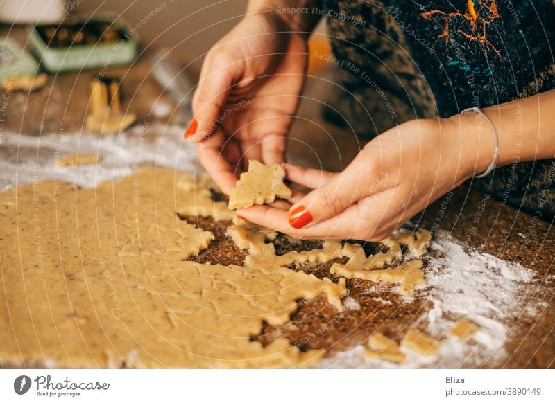 Weihnachten und Advent - Eine Frau backt Weihnachtsplätzchen in Tannenbaumform Weihnachtsbäckerei Plätzchen backen Tannenbäume Weihnachtsgebäck