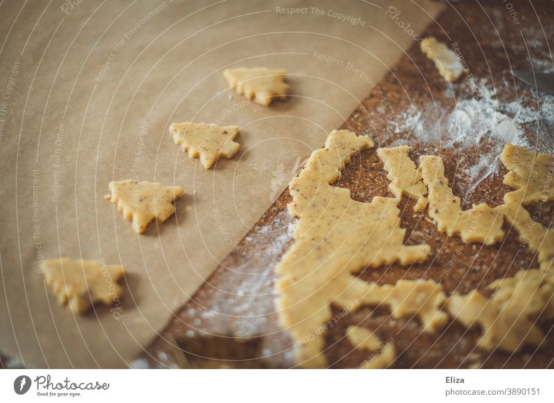 Weihnachtsbäckerei - Plätzchenteig und Plätzchen in Tannenbaumform backen Weihnachtsplätzchen Tannenbäume Plätzchen backen Weihnachtsgebäck Plätzchen ausstechen